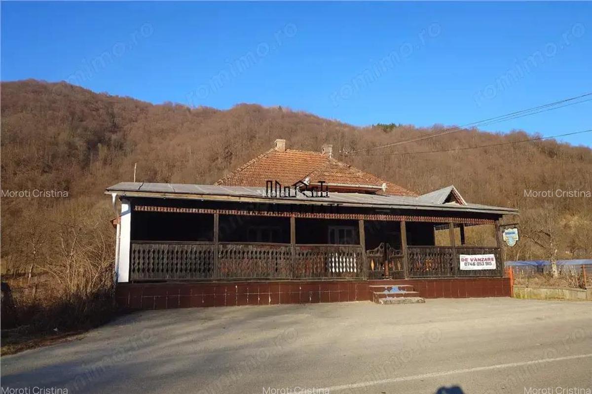 Proprietate cu potential in Apuseni - fosta pizzerie, ideala pentru afacere sau locuinta - 12
