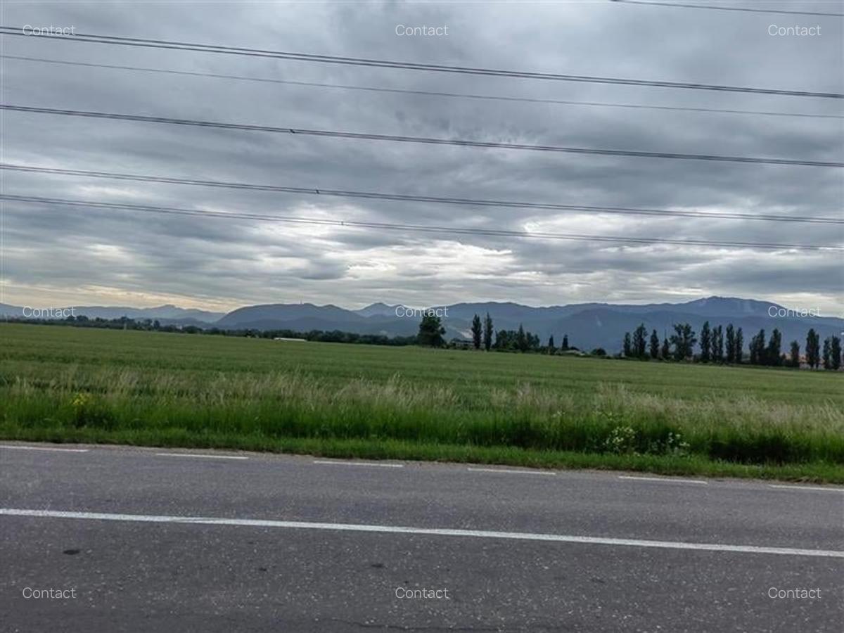 TEREN DE INCHIRIAT IN SUPRAFATA DE 2,8 HA IN ONESTI - 1