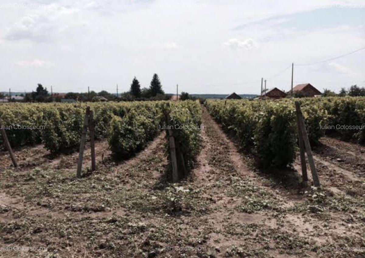 Teren de vanzre in Pitesti 53.000 mp + Conac Boieresc - 1