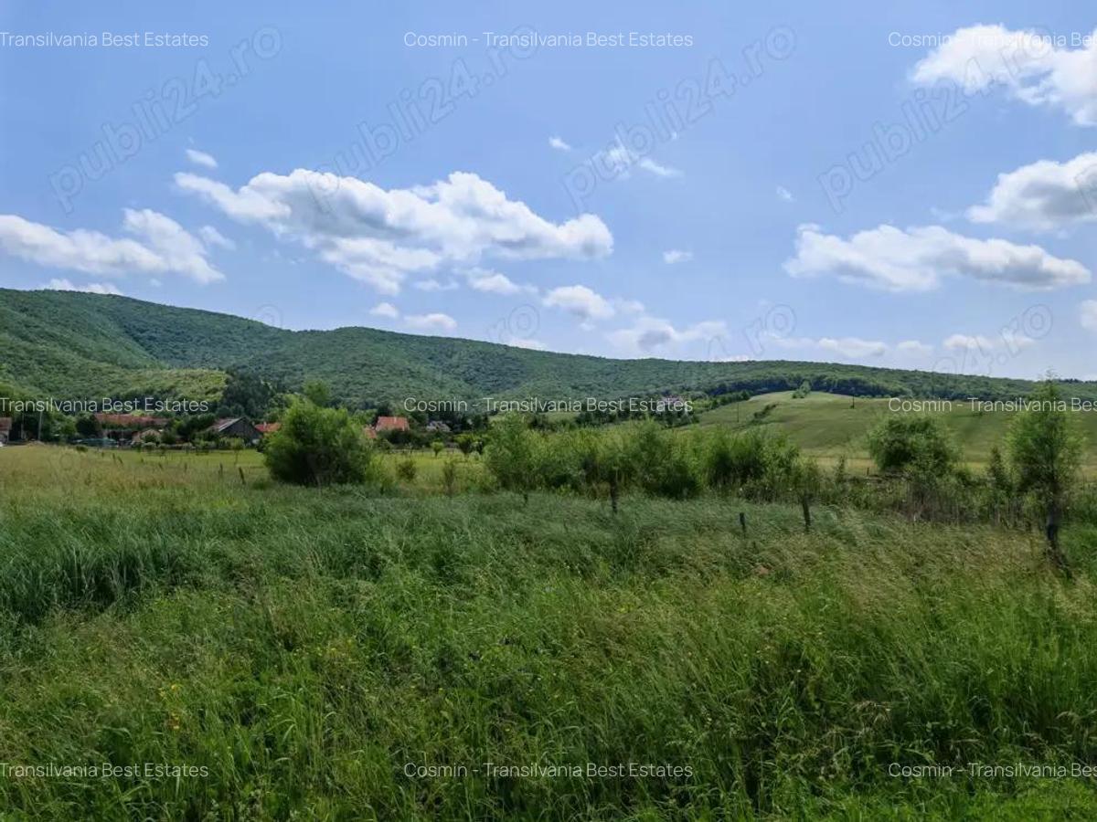Teren intravilan 7.800 mp Marcu? sau loturi incepand cu 7.000 euro. - 2