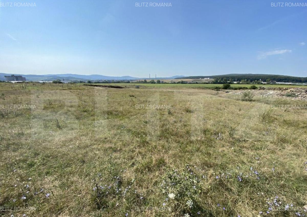 Teren extravilan Criseni, 3800 mp - 2