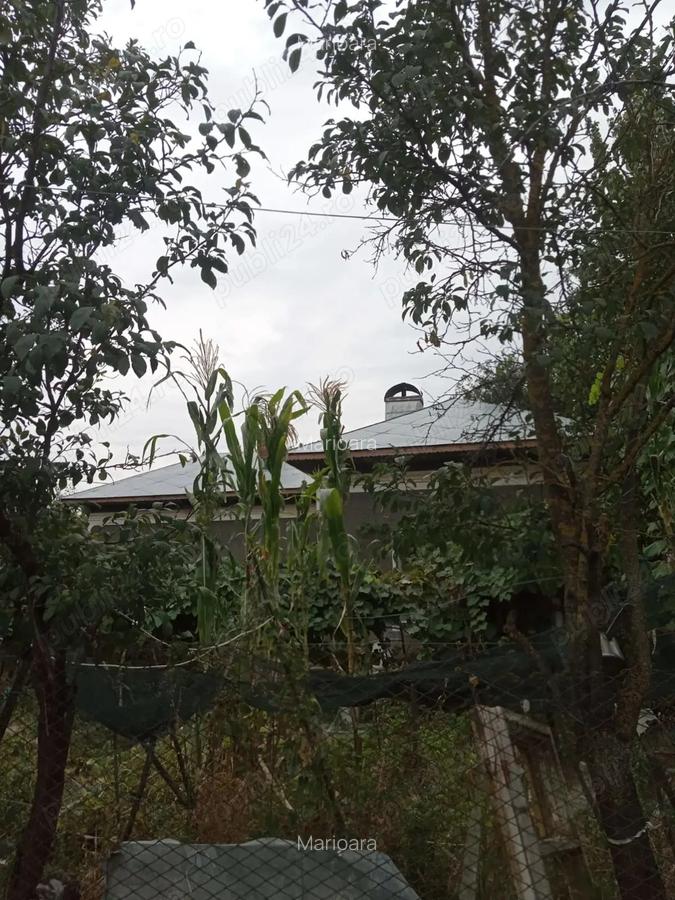 Vand Casa Putineiu Teleorman - 4