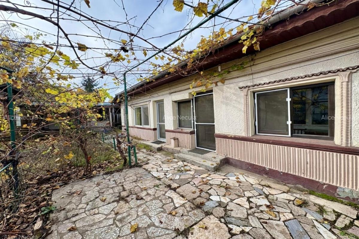 Chitila – T. Vladimirescu, casa individuala 4 camere, lot 530 mp. - 25