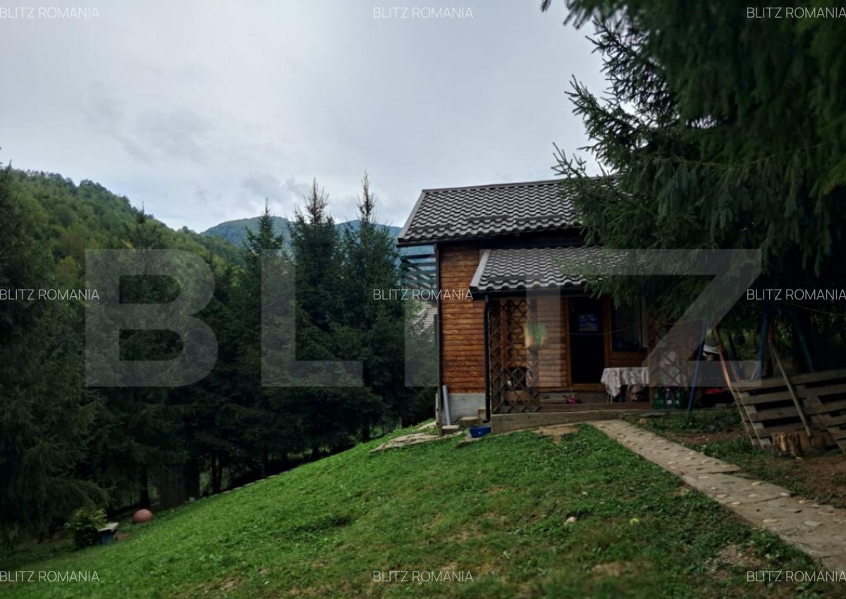 Cabana finalizata, cu teren Muntele Rece - 4