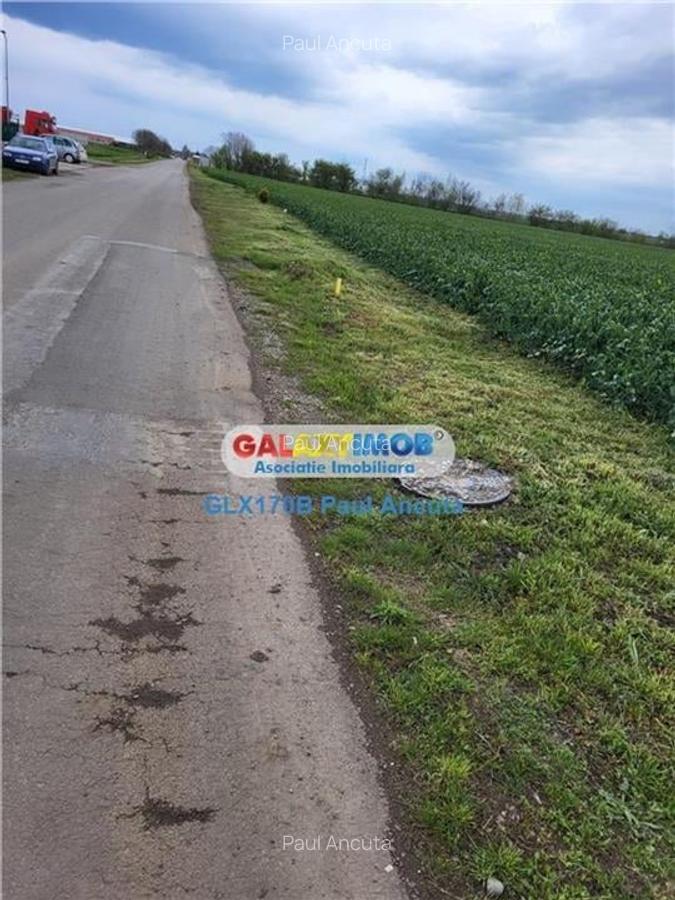 Teren Autostrada A3 Moara Vlasiei 26000 mp  Industrial Depozitare - 2