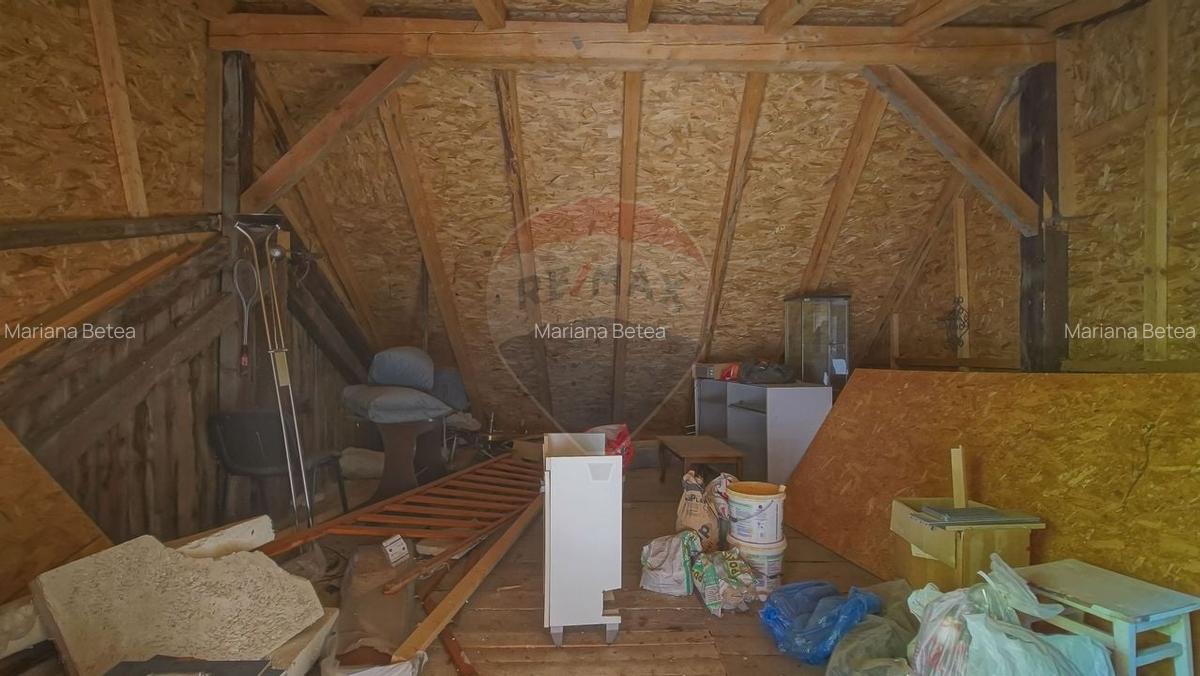 CASA 3 CAMERE CU 86 MP, BECI, POD SI CURTE | ZONA SCHEI - 30