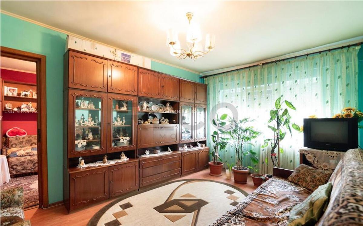 RECO apartament 3 camere Nufarul - 12