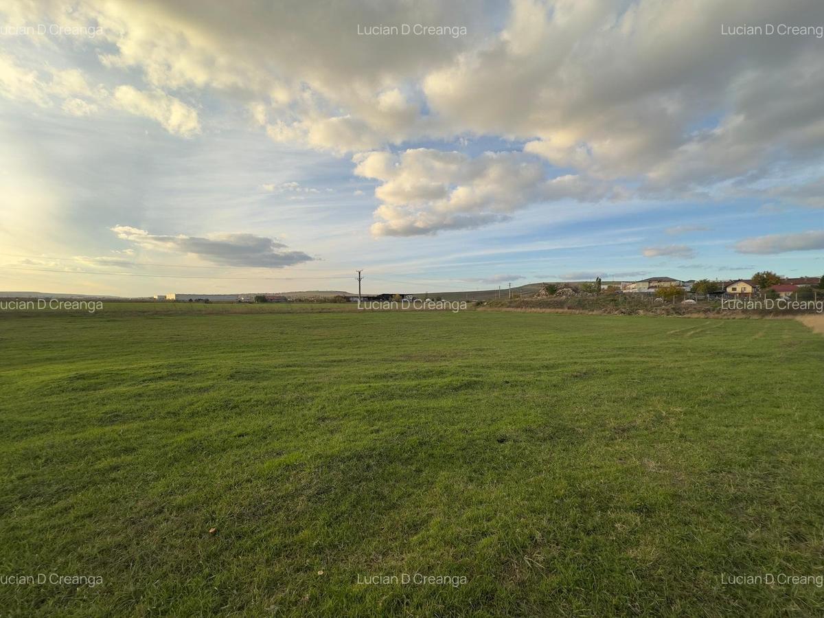 Teren si proiect, 15813mp, fata Skoda - 3