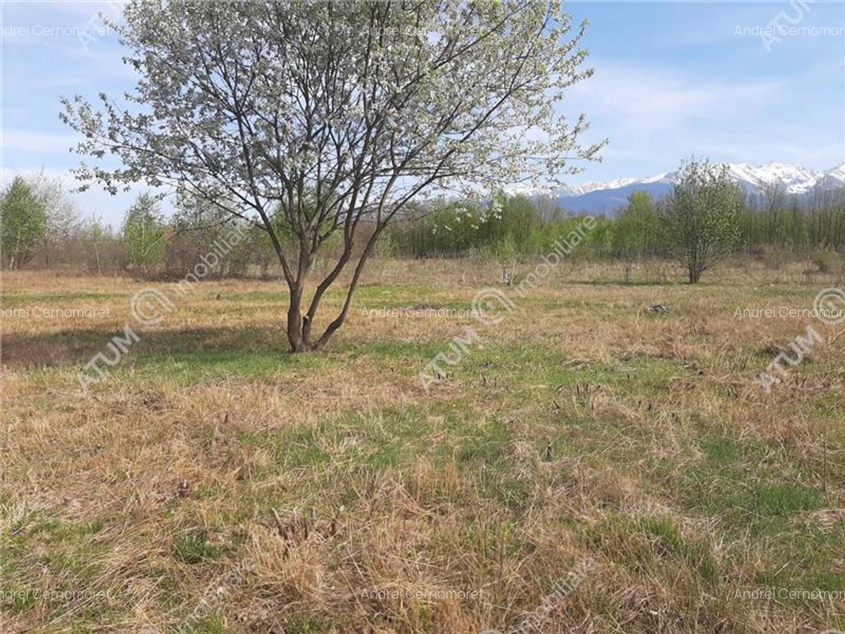 Teren intravilan 2700 mp pe Valea Avrigului localitate Avrig - 3