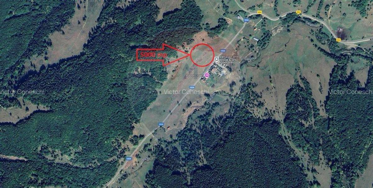 OPORTUNITATE! Teren 5,000 mp Vama Buzaului / Drumul DJ103A - 2