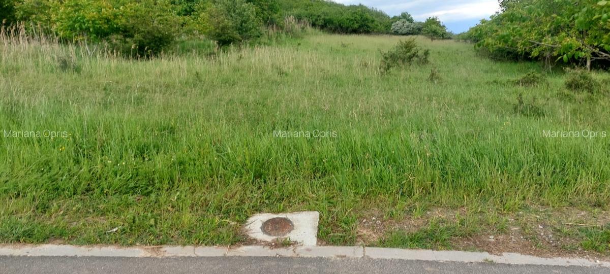 Teren Intravilan 6500mp, spre vanzare in Gusterita - 4