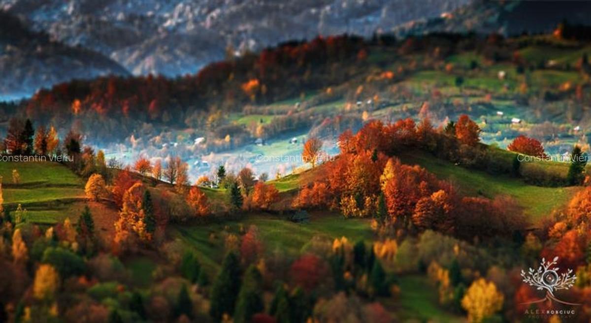 Hotel/Pensiune, 635 mp în Bran - 23