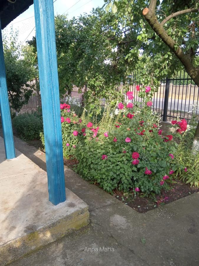 Vand casa comuna Baneasa, Giurgiu - 4