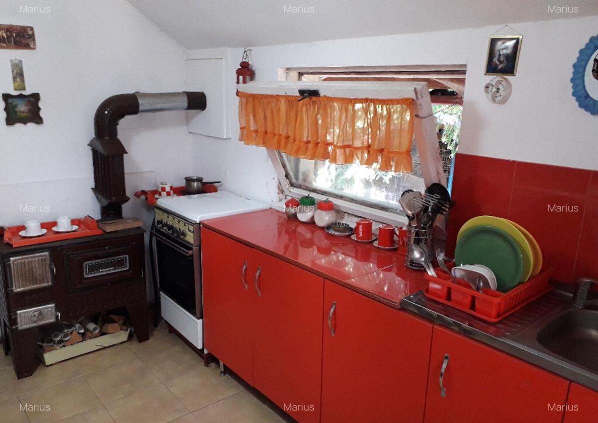 Casa Sunatori, Vatra Dornei, Suceava - 3