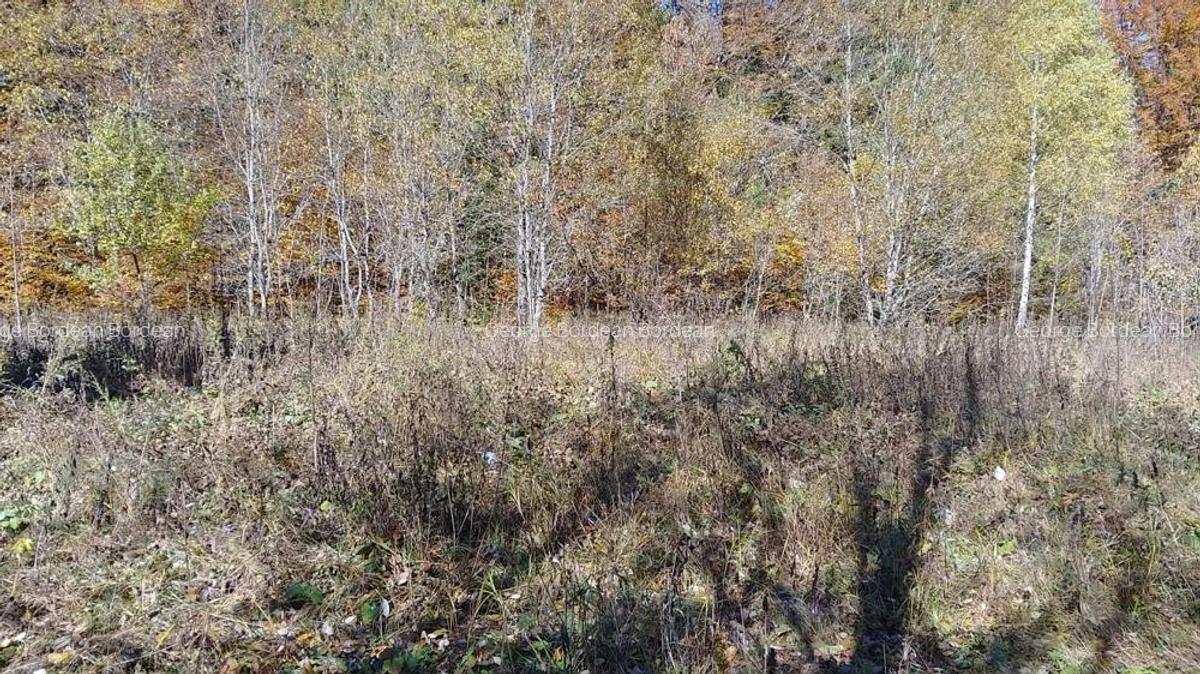 Vand teren intravilan in Paraul Rece - 3