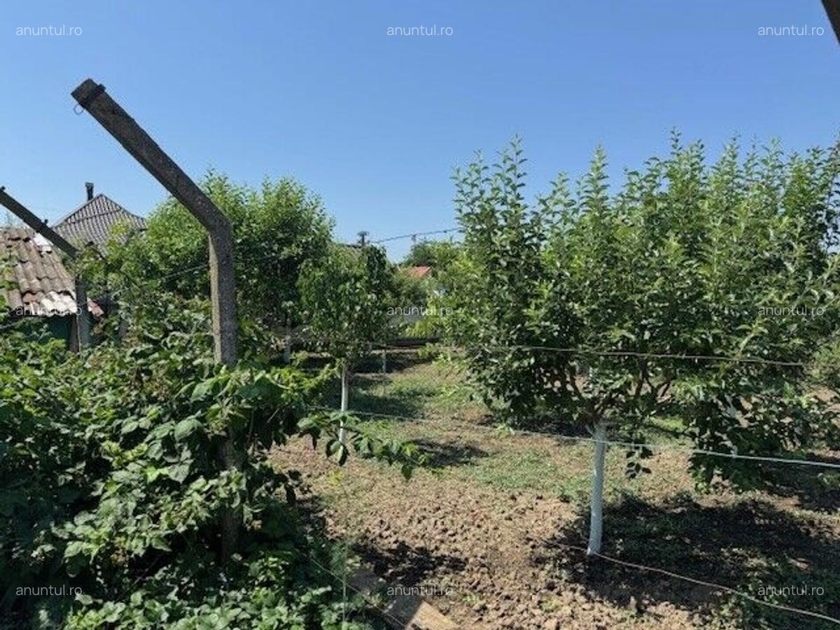 Corabia Olt Casa de vanzare 4 camere - 13