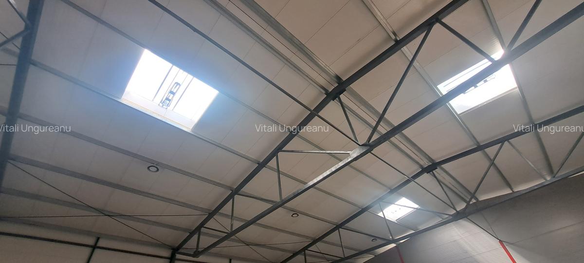 Drumul intre Tarlale, sector 3, hala 590 mp - 11