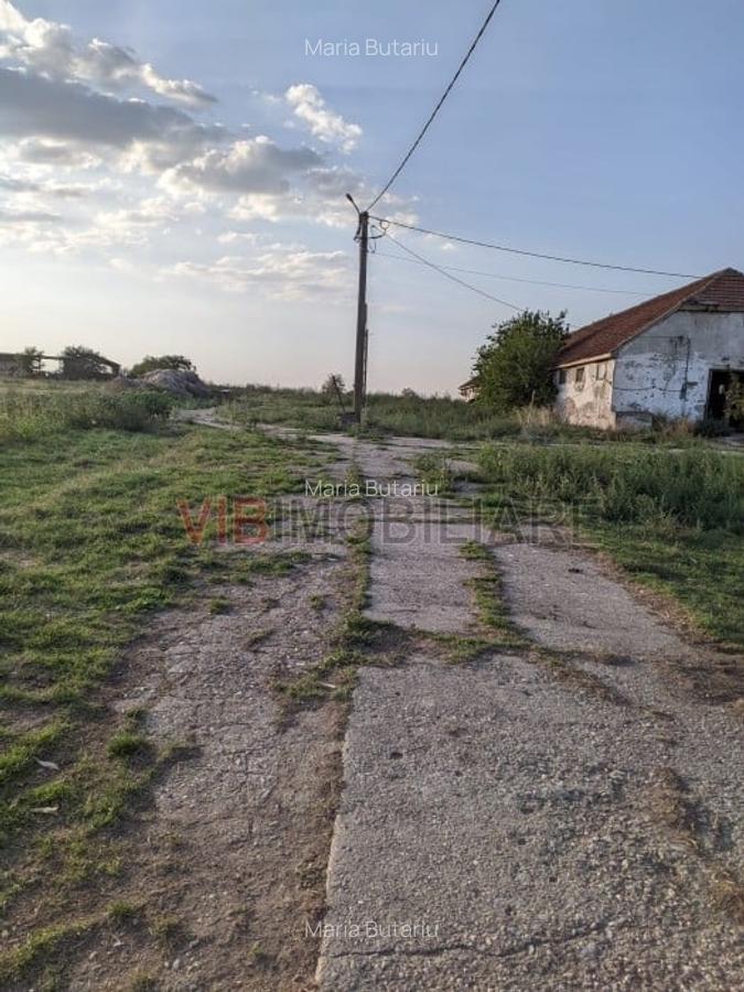 Ferma Zootehnică Mixtă – Cernateaz, Timiș | 9,5 ha | Hale Moderne, Casă 20 - 3