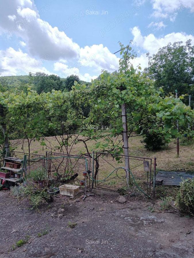 Vand casa sat Badeni, com. Moldovene?ti, jud. Cluj - 9