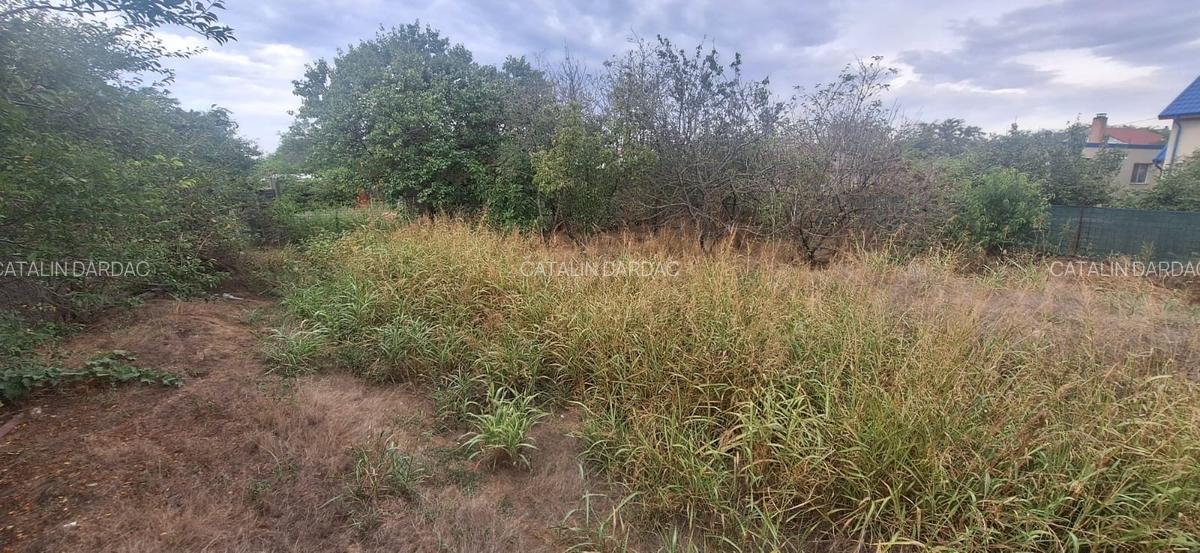 EXCLUSIV! CORBU TEREN LIBER 500 MP D=18 M INTRE CASE APROAPE DE MARE 25.000 EURO - 4 EXCLUSIV! CORBU TEREN LIBER 500 MP D=18 M INTRE CASE APROAPE DE MARE 25.000 EURO - 4