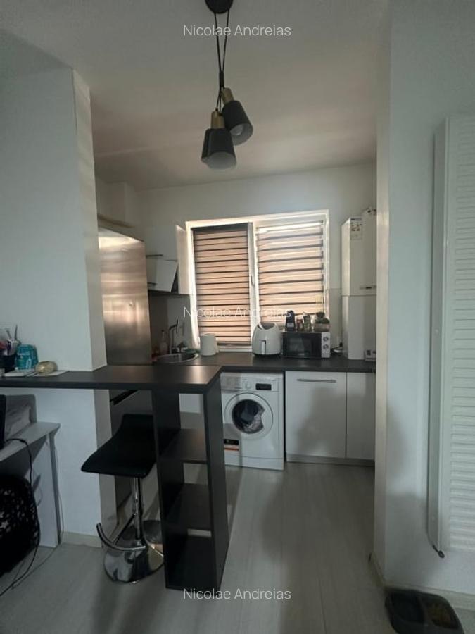 Popesti Leordeni-Amurgului-Dimitrie Leonida - 11