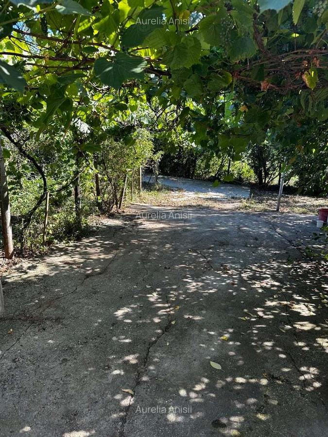 Casa batraneasca - 4