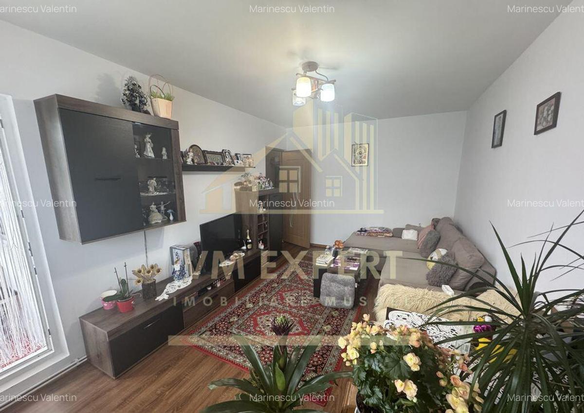 APARTAMENT 3 CAMERE ETAJ 4 VI?OI CAMPULUNG - 11