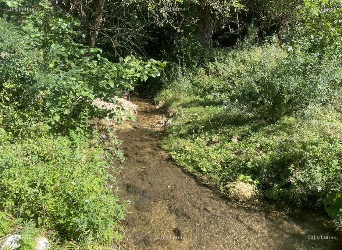 Casa de vanzare+teren - 2