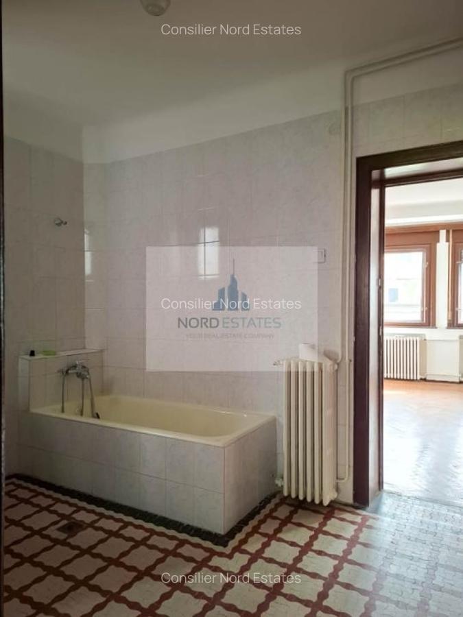 Piata 1 Mai, parcul Kiseleff, ambasade, vila interbelica - 5