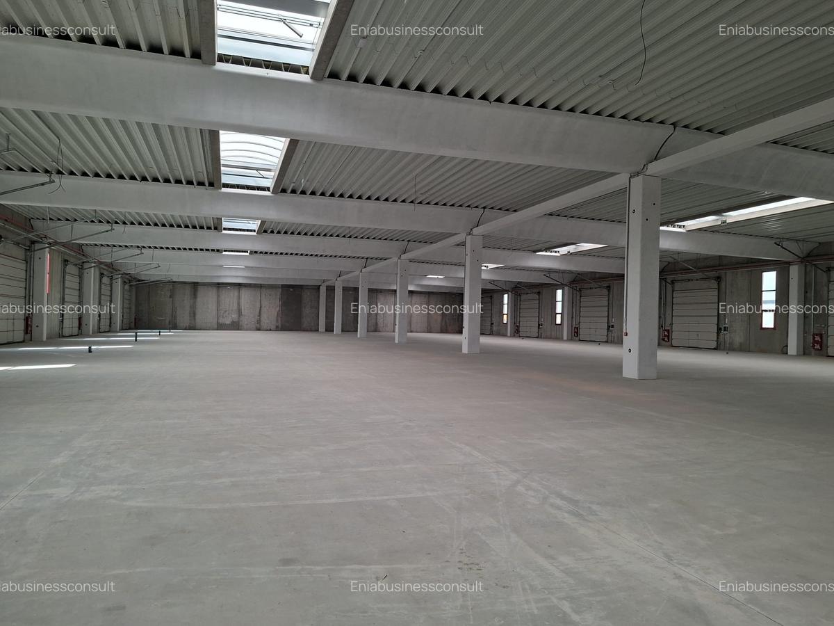 Hala din beton, 1800 mp+1500 mp curte betonata, 300 kw, dezvoltator - 2 Hala din beton, 1800 mp+1500 mp curte betonata, 300 kw, dezvoltator - 2