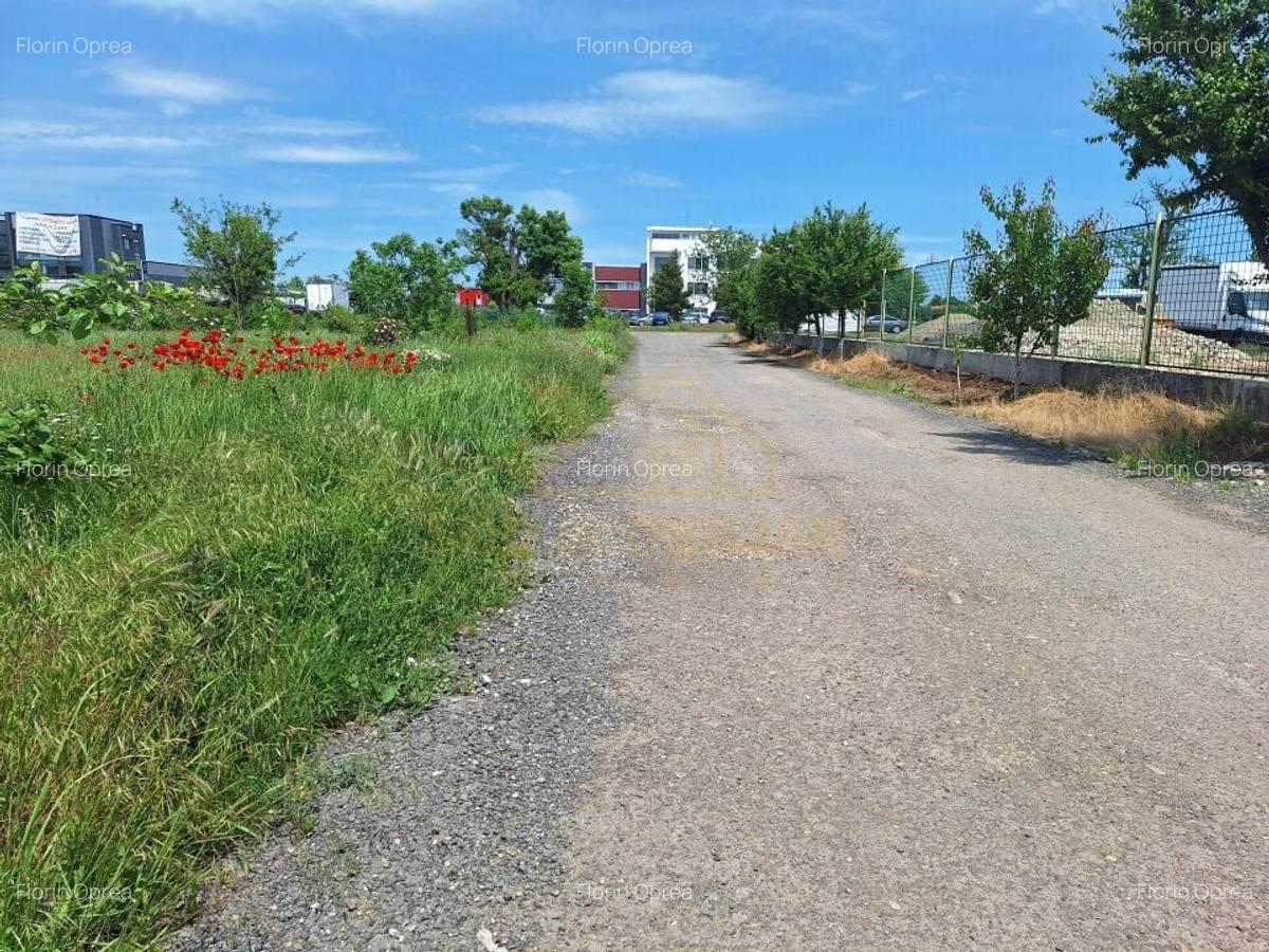 LOTURI TEREN INTRAVILAN-650 MP-DN 4 - 6