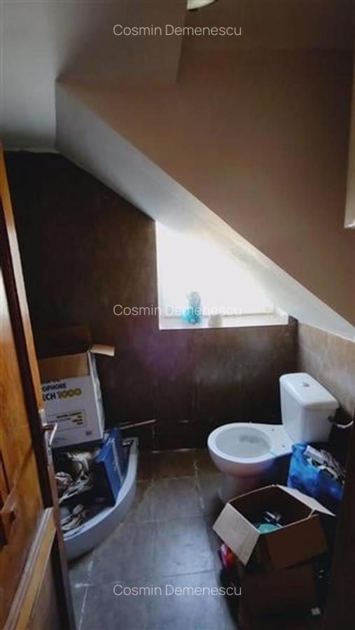Spatiu Comercial zona Dambovita - 6