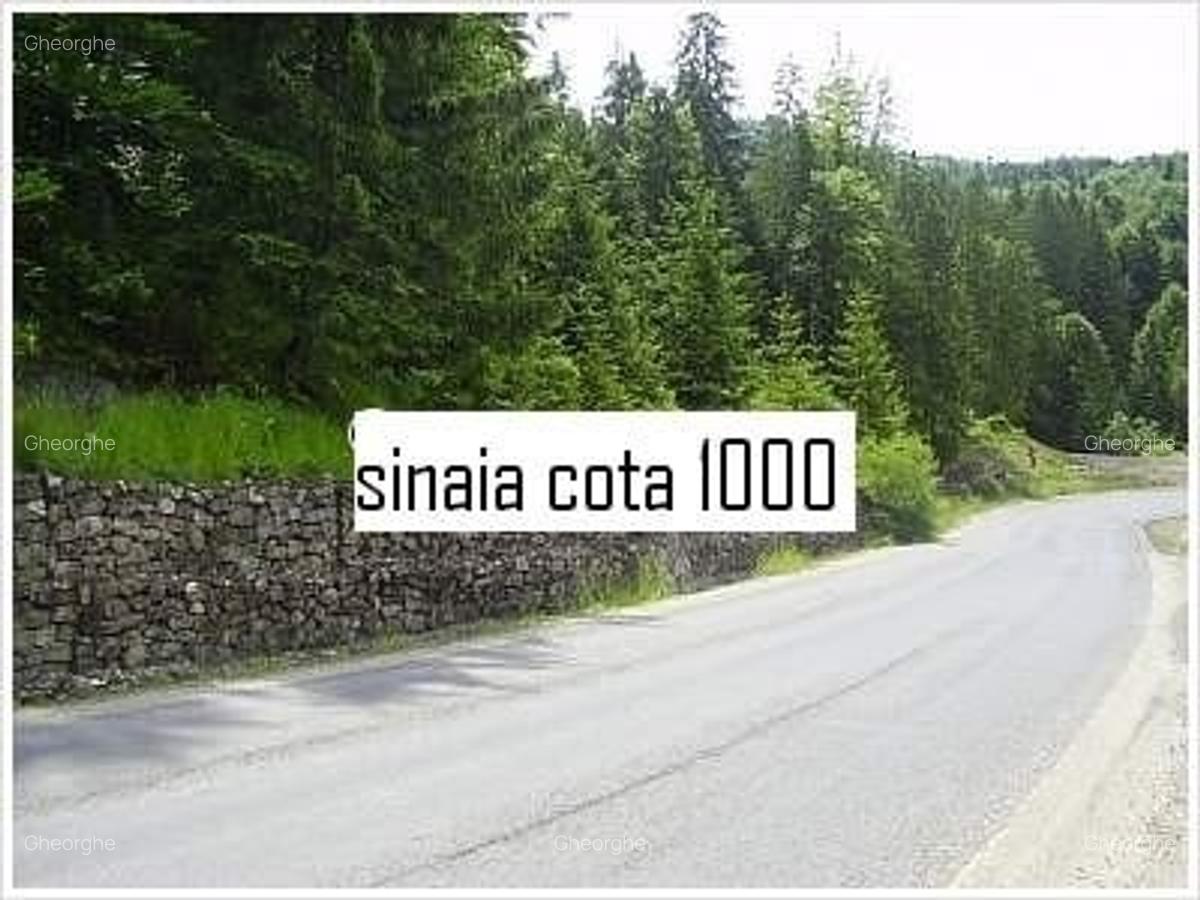 Teren intravilan Parcul Natural Bucegi - Sinaia Cota 1000 - 5