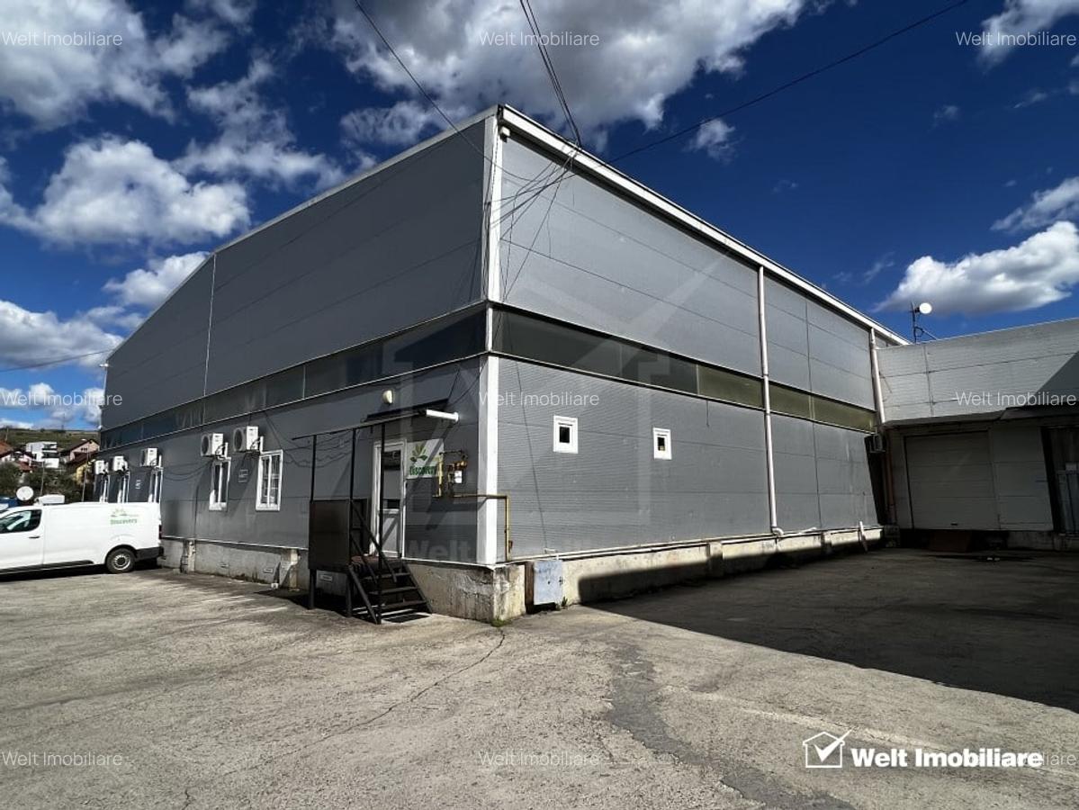 Depozit 600mp 2 rampe + birouri 180mp, 14 parcari, Lidl - Baciu - 1