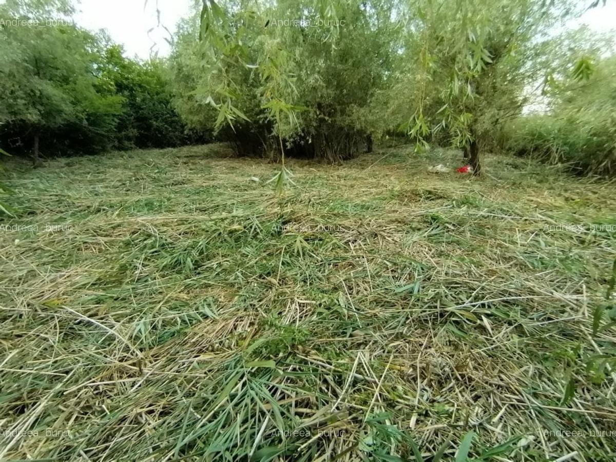 Casa si teren deschidere canal - 12