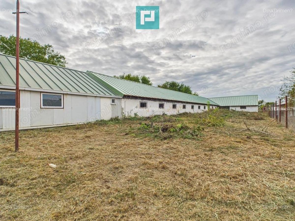 Hala pentru produc?ie / ferma zootehnica - Varia? - 15