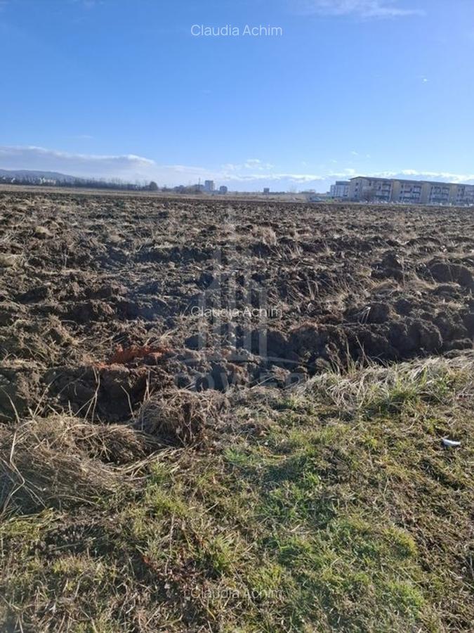 TEREN INTRAVILAN PENTRU CONSTRUCTIE BLOCURI-20000 MP, ZONA CALEA SURII MICI - 5