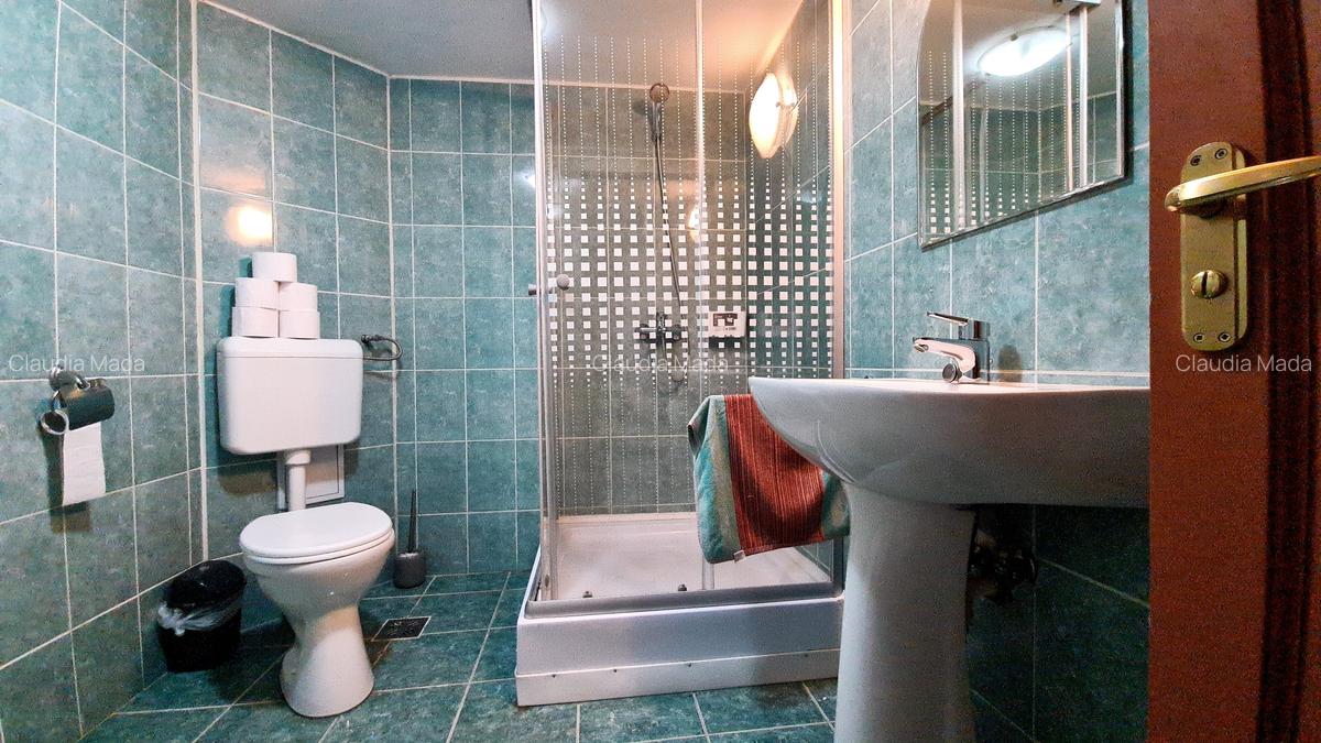 Casă individuală cu 6 camere în Dobârlău - 19