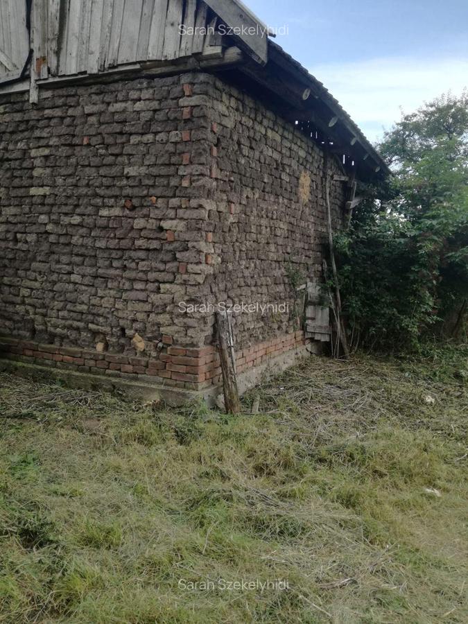 Ag BRASADAS vinde casa LOCUIBILA 3 cam teren 5.000 mp HOREA. - 6