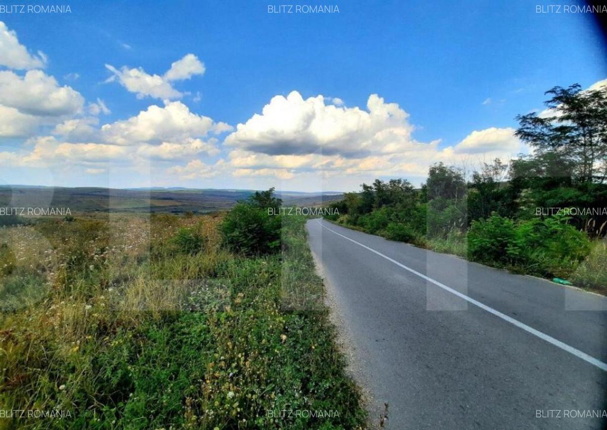 Teren intravilan de 5800 mp, situat in Padureni - 1