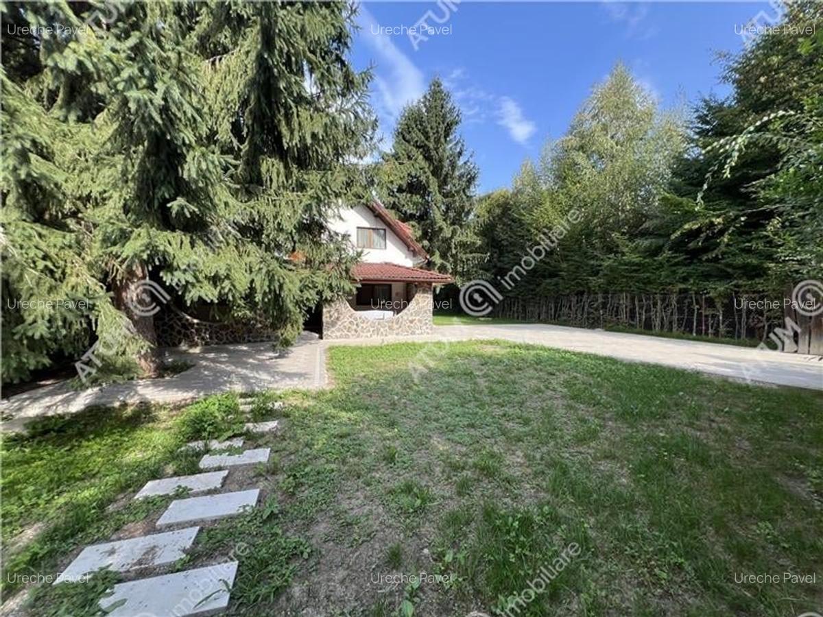Cabana cu 7 camere 7 bai si teren 1000 mp in Avrig zona Mlaci - 25