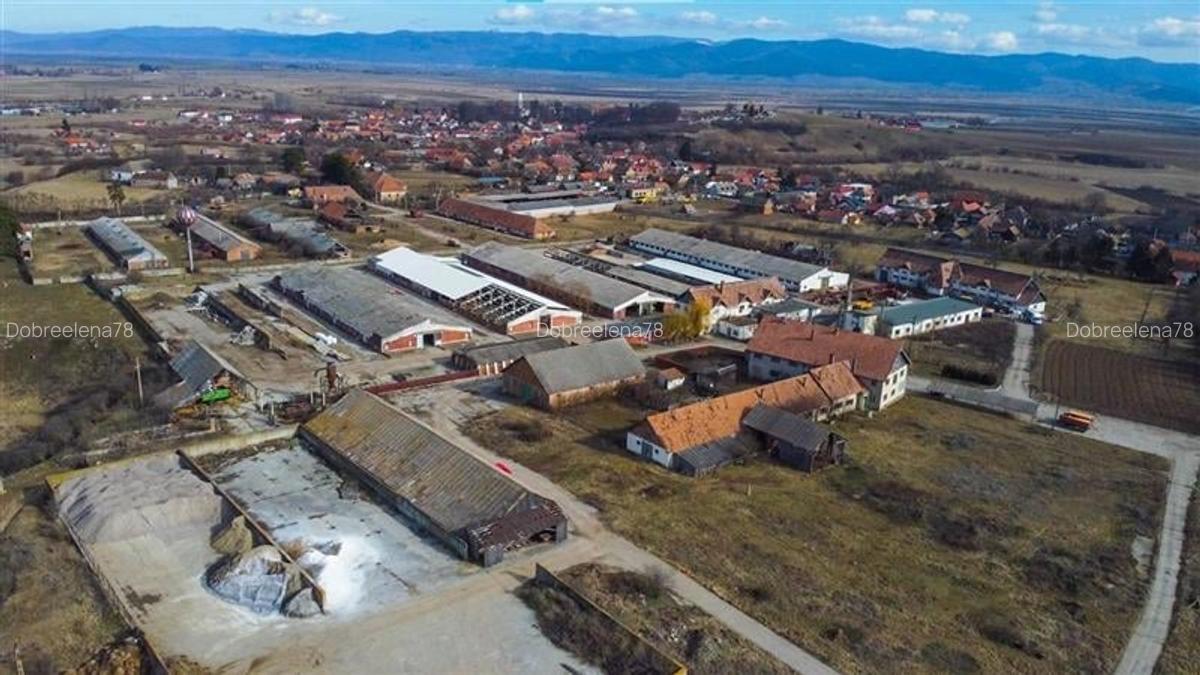 FILM! Complex agrozootehnic cu traditie, echipat + pretios potential multiplu - 14