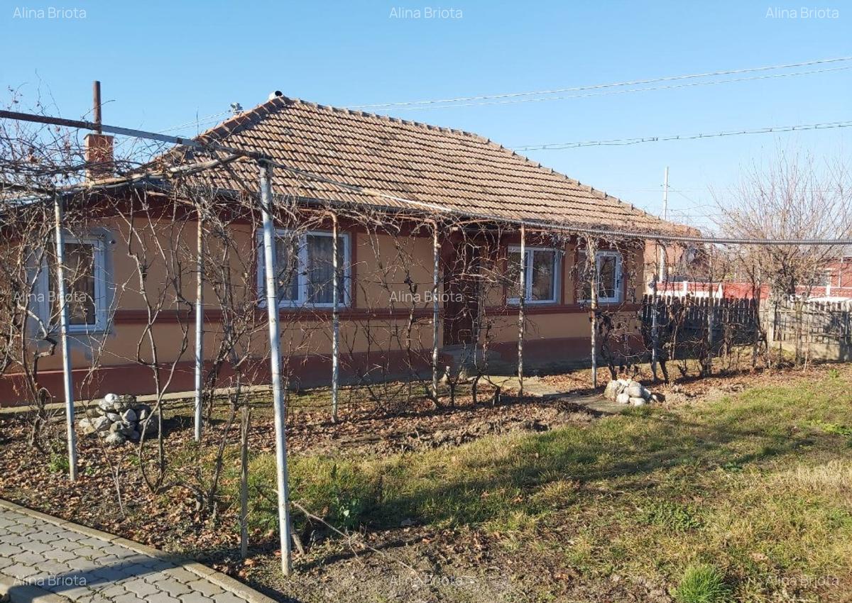 Casa plus teren Andrasesti - 1