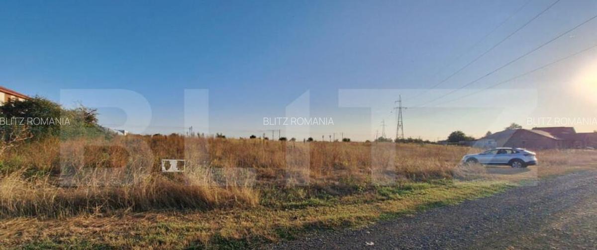 Teren de vanzare Branesti - 1900 mp - 4