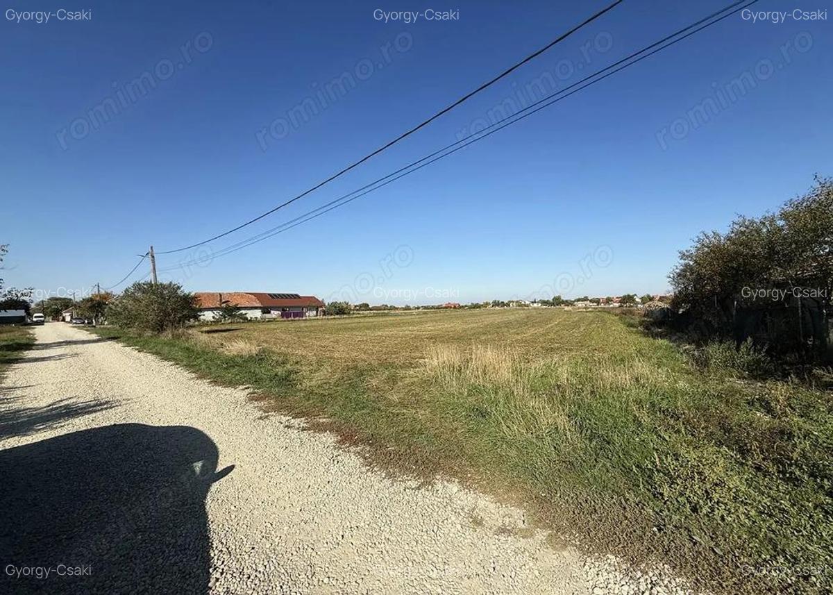 5000 mp. teren intravilan - Les - IMOBIHOR - 1