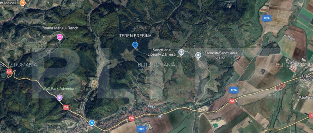 2 Terenuri in Zarne?ti Zona Brebina ; Investi?ie cu - 1