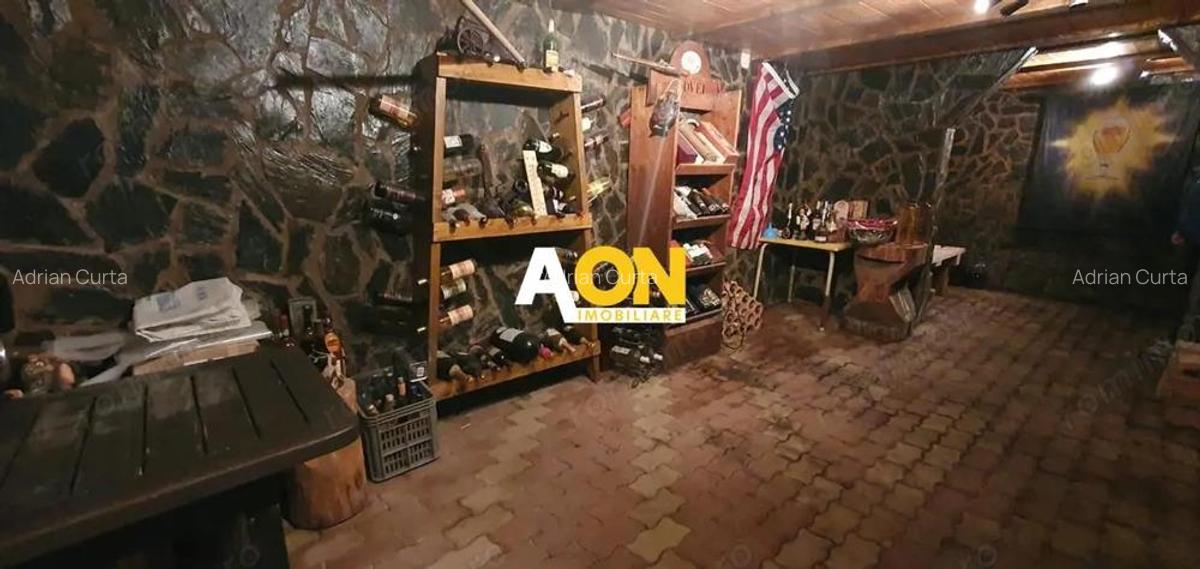 Casa de vanzare, 4 camere, 2 terase, garaj, 849 mp teren, Oarda de Jos - 10