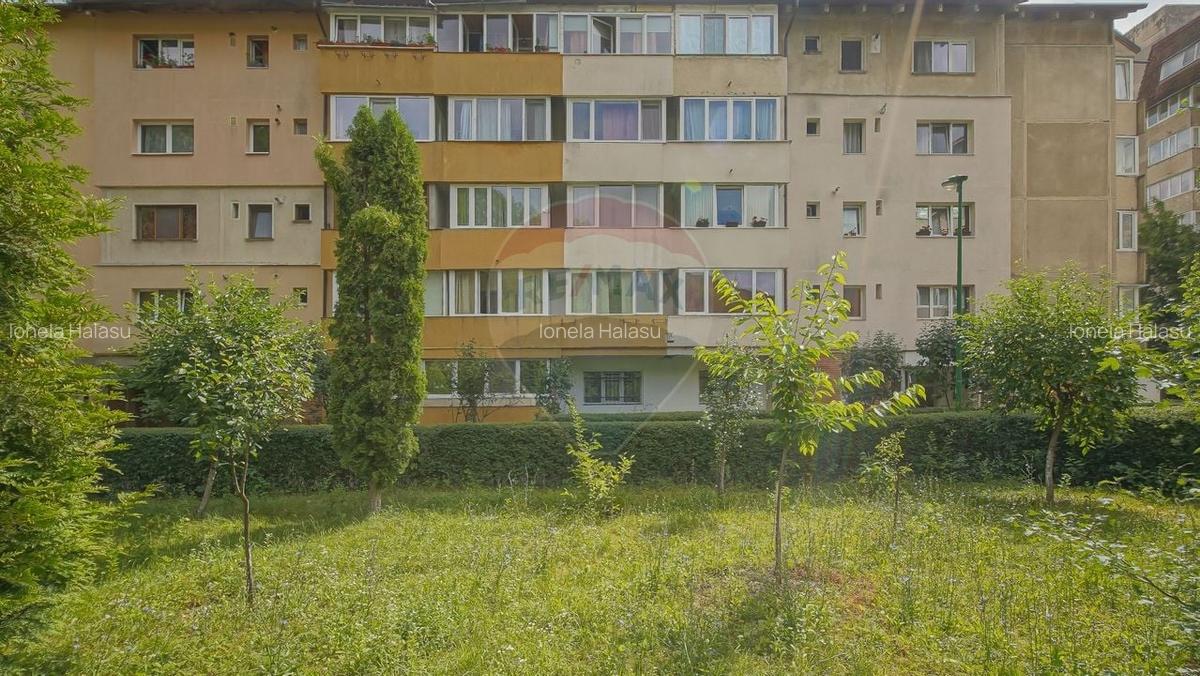 Vanzare apartament 2 camere cu suflet in Racadau-0%Comision Cumparator - 22