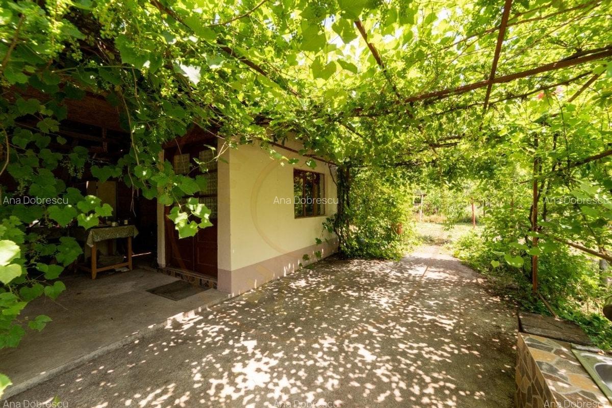 Casa batraneasca - Glambocelu, com. Bogati, Arges! - 3