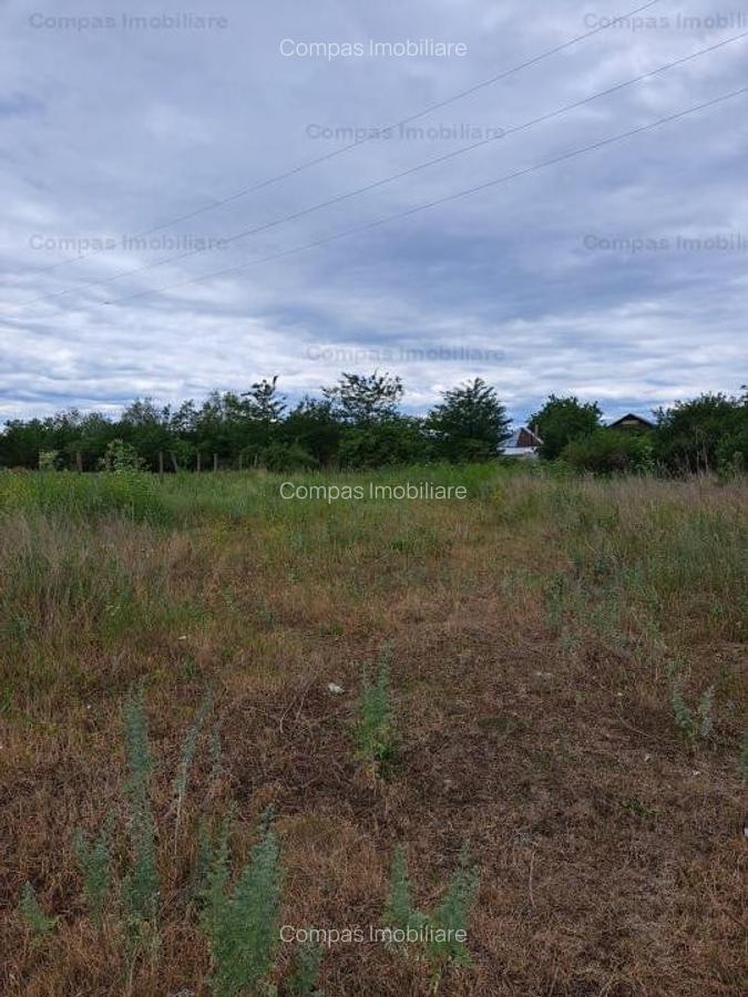 TEREN INTRAVILAN  COMUNA GIROV SAT DANESTI - 2